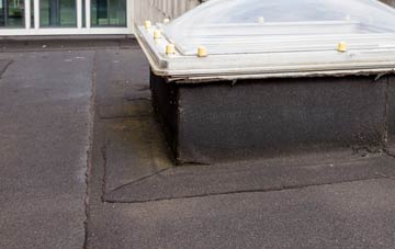 disadvantages of Ardvannie flat roofs